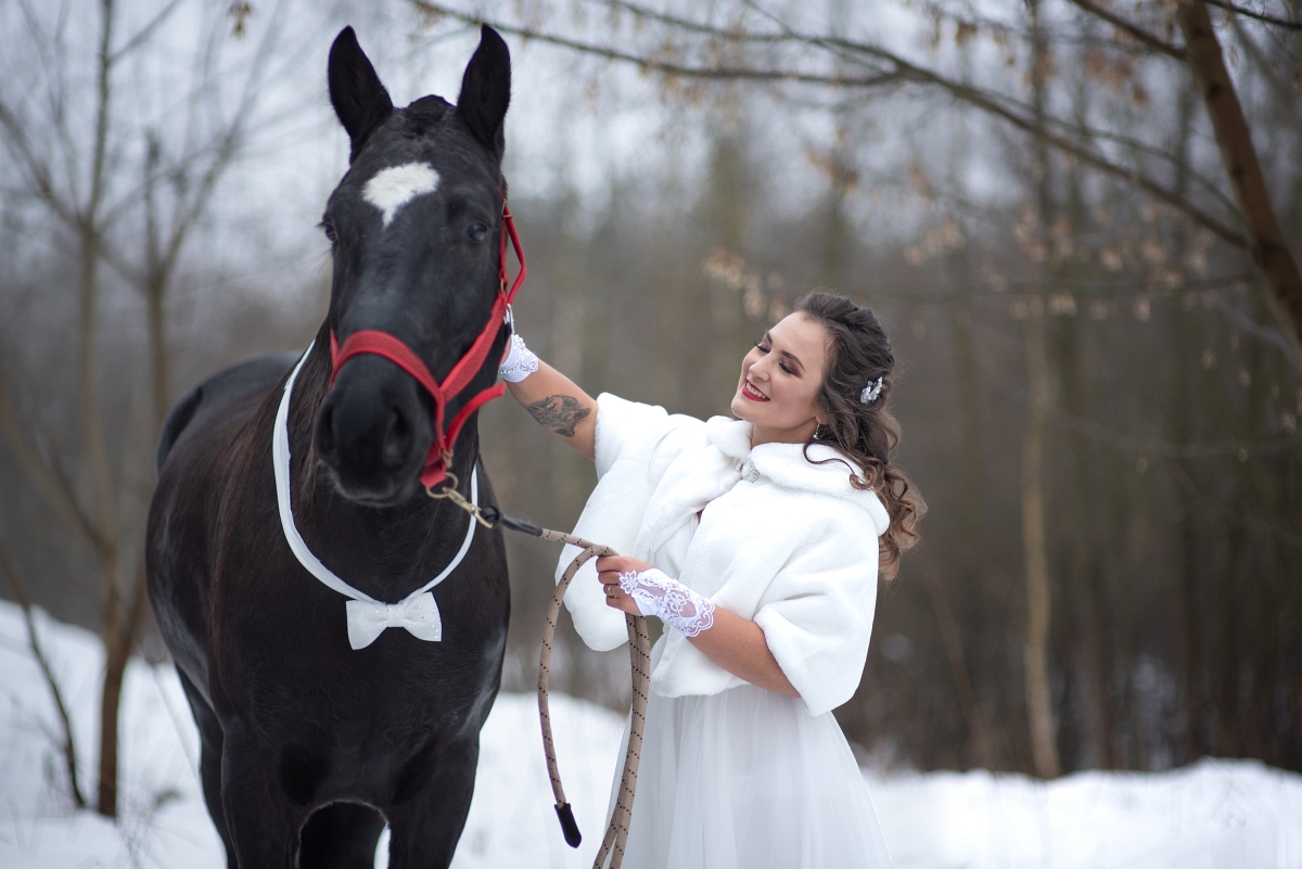 sesja ślubna zima koń Puławy