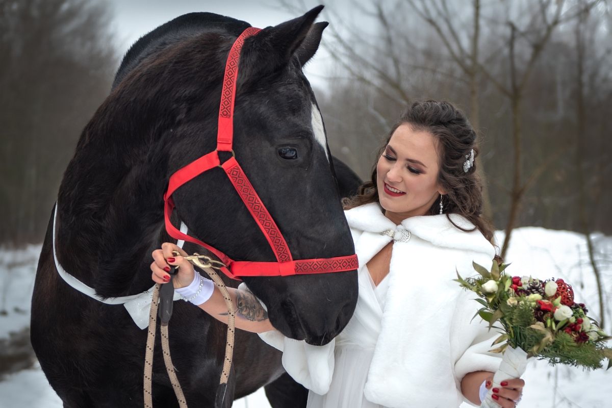 sesja ślubna zima koń Puławy